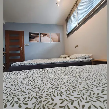 Piano Apartment Plock